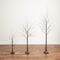 3ft. 5ft. 6ft. Artificial Brown Birch Trees with Warm White LED Lights - Set of 3